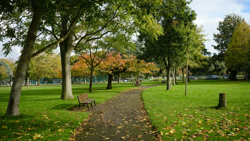 ATW St Albans New Years Eve 10K