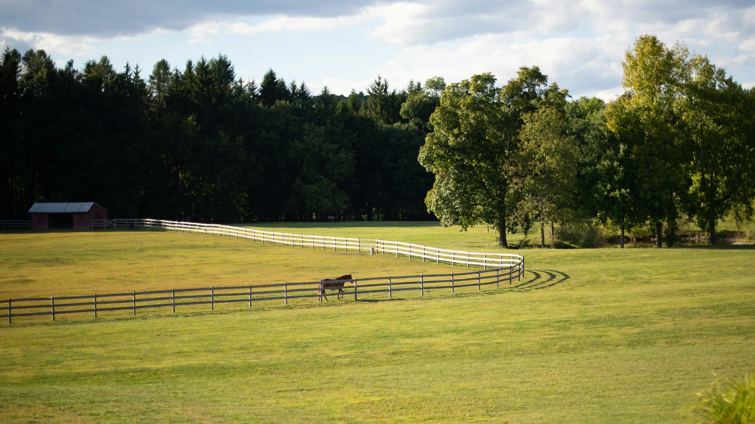 Mizuno Labský půlmaraton