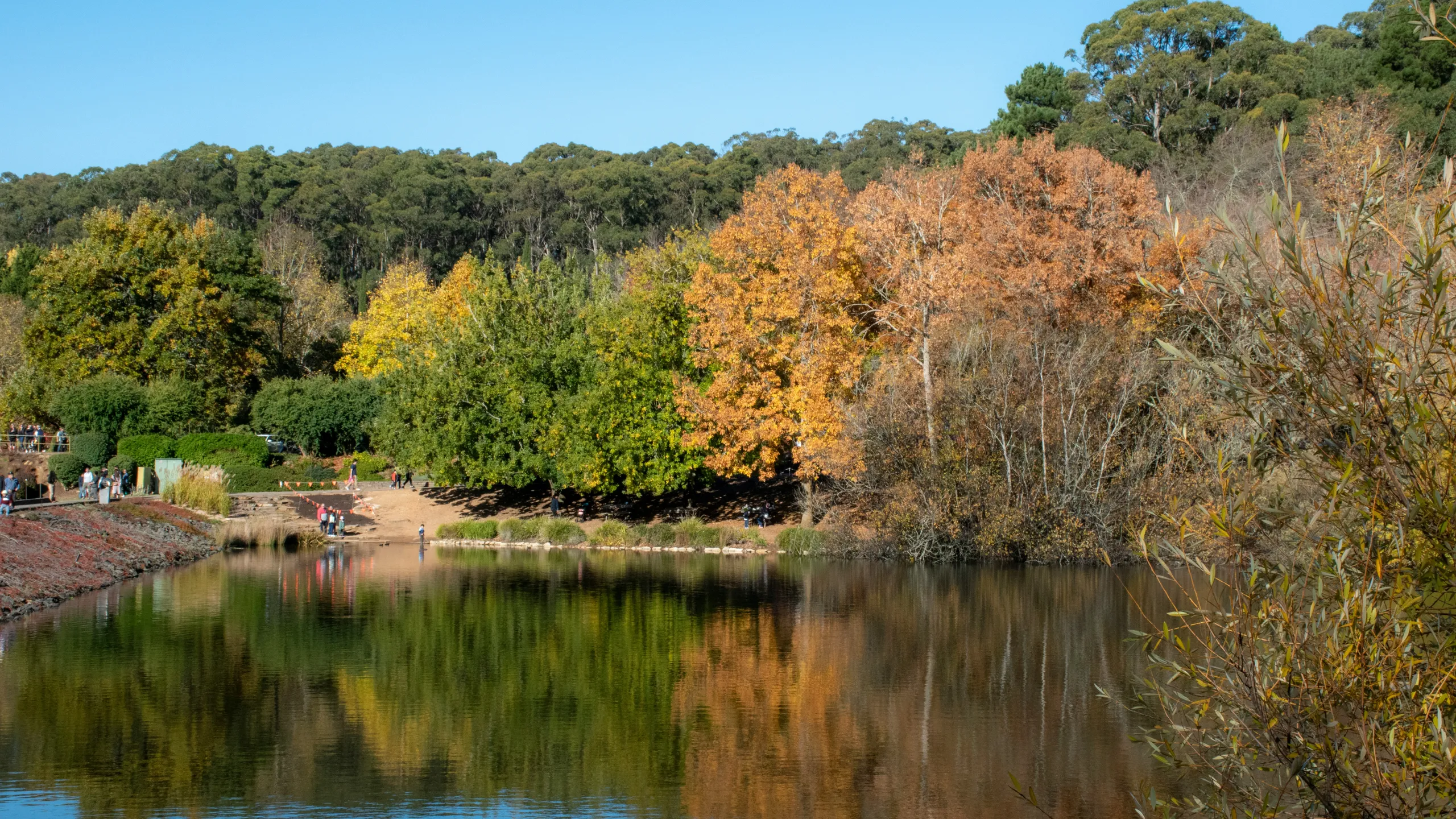 Hills to Henley River Run