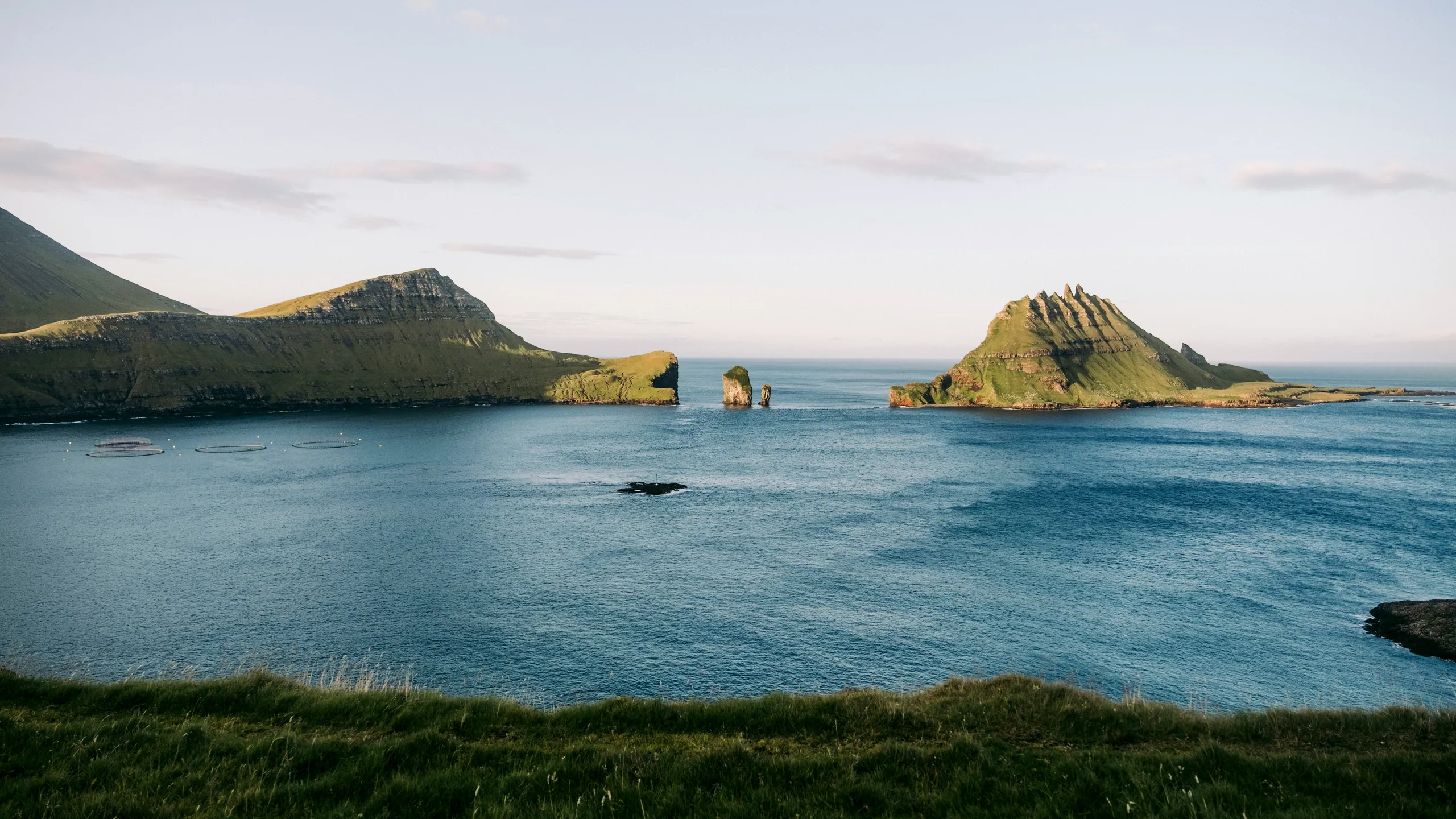 ASICS Runaway Hawke's Bay Marathon