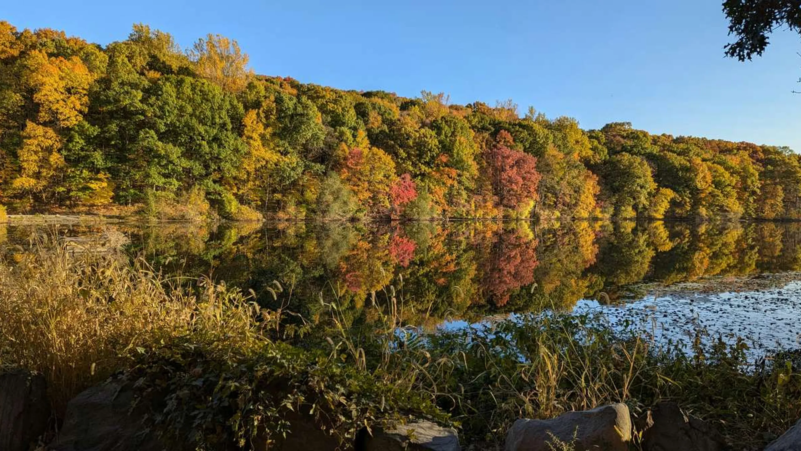 The Glenn D. Loucks Memorial Track & Field Games