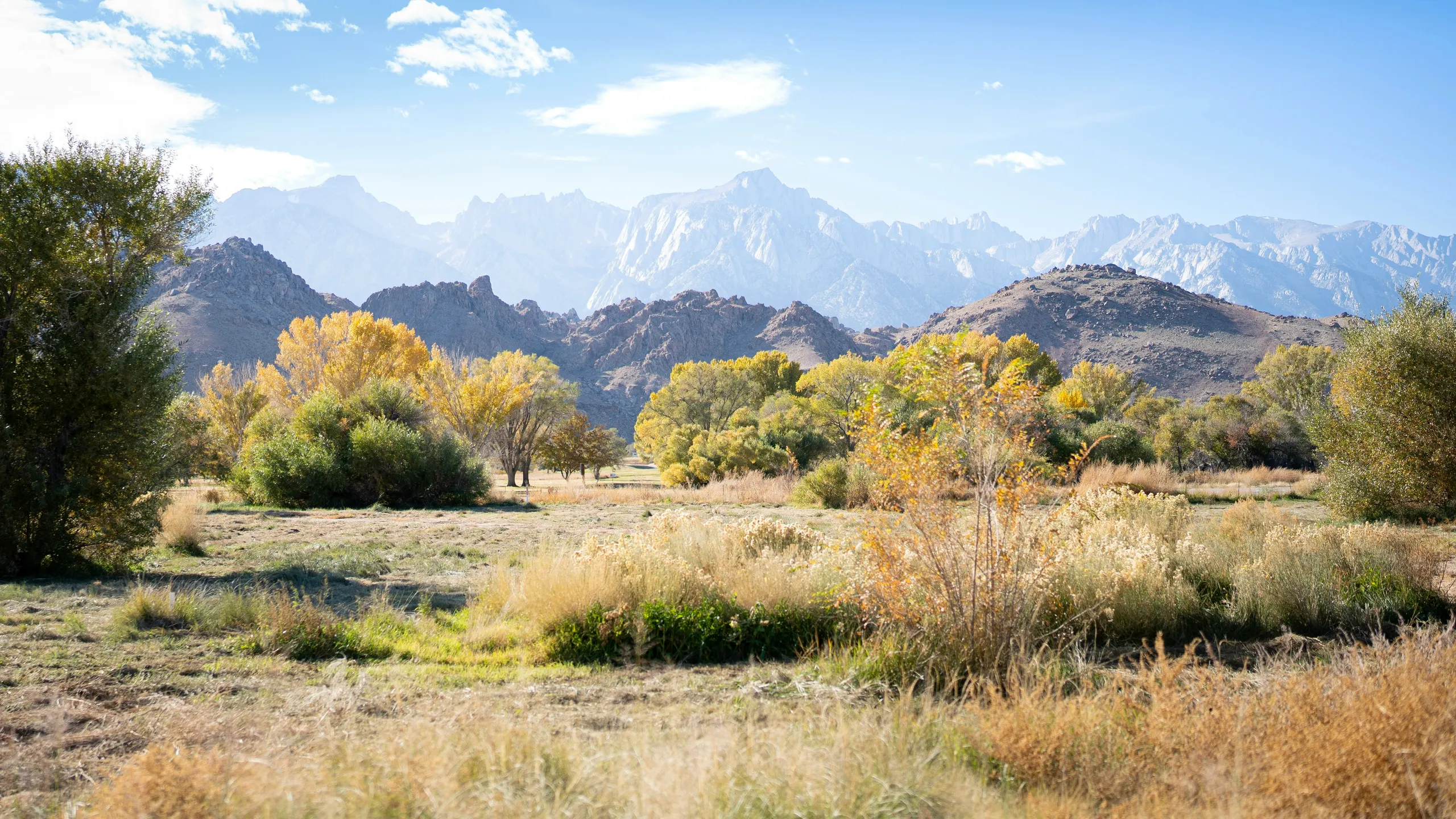 John Wayne Grit Series Lone Pine
