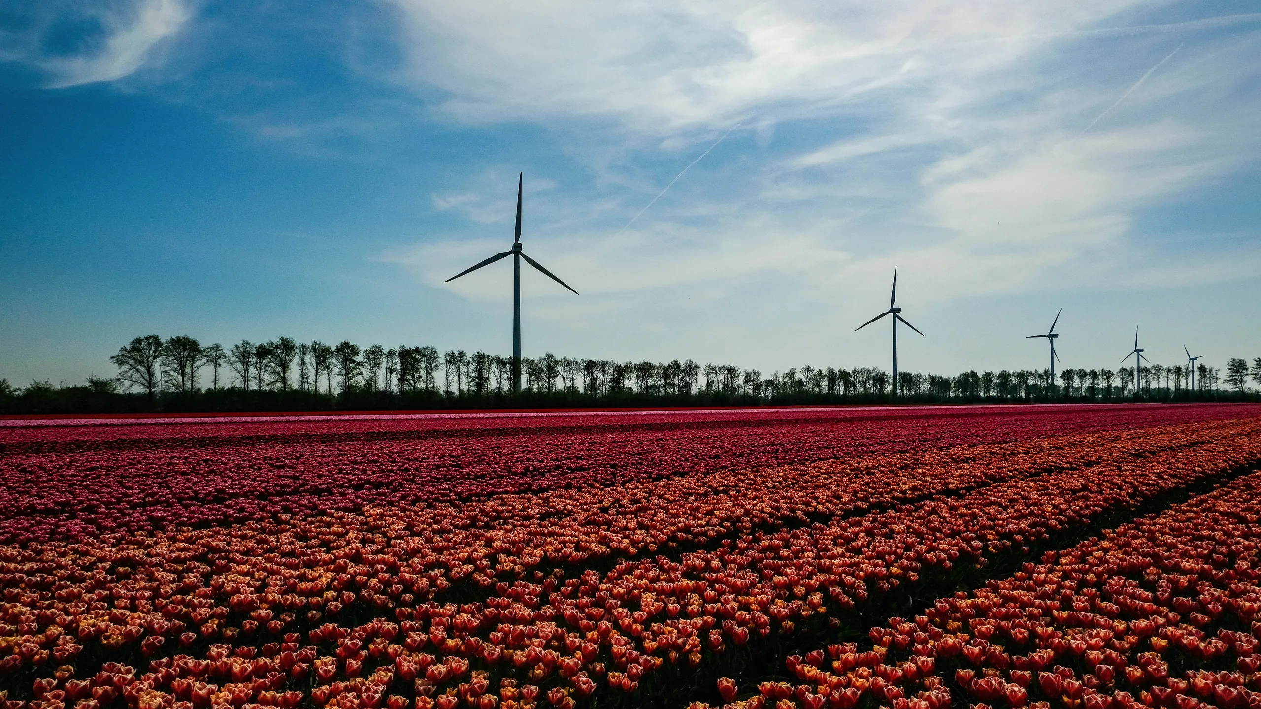 Starke Kerstloop Dronten