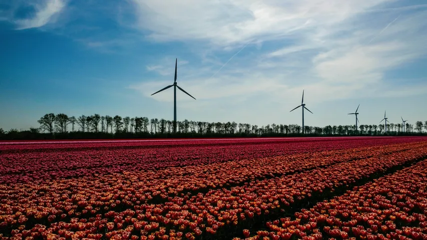 Starke Kerstloop Dronten
