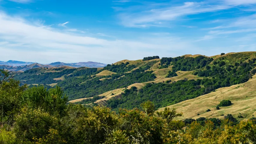 California Gold Rush Trail Run (Fall)