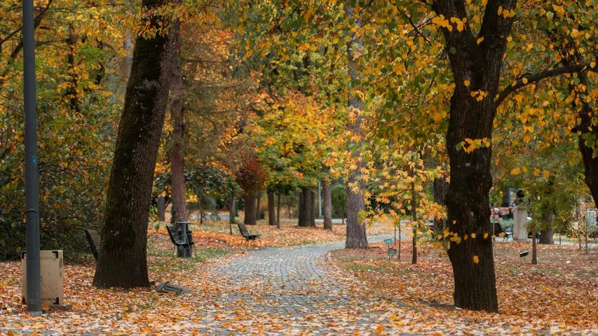 Richmond Park Half Marathon March 2025