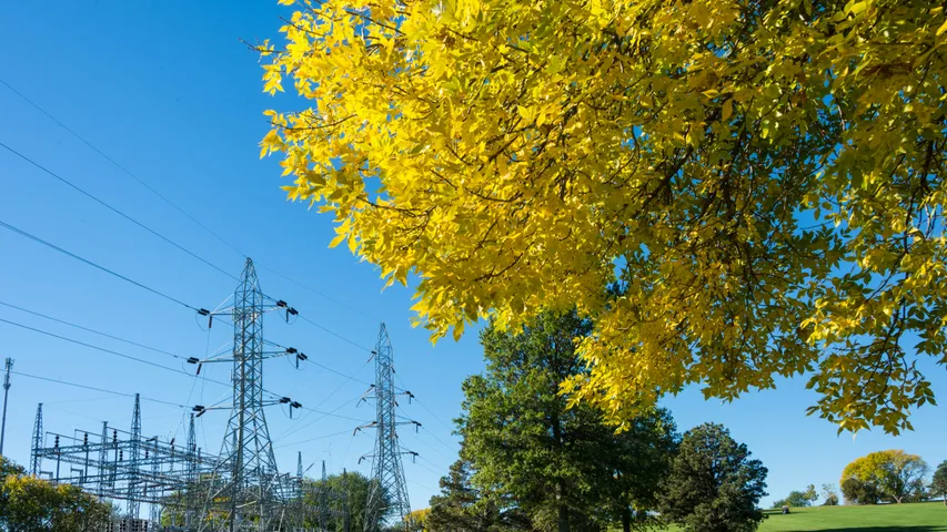 Lincoln Marathon & Half Marathon