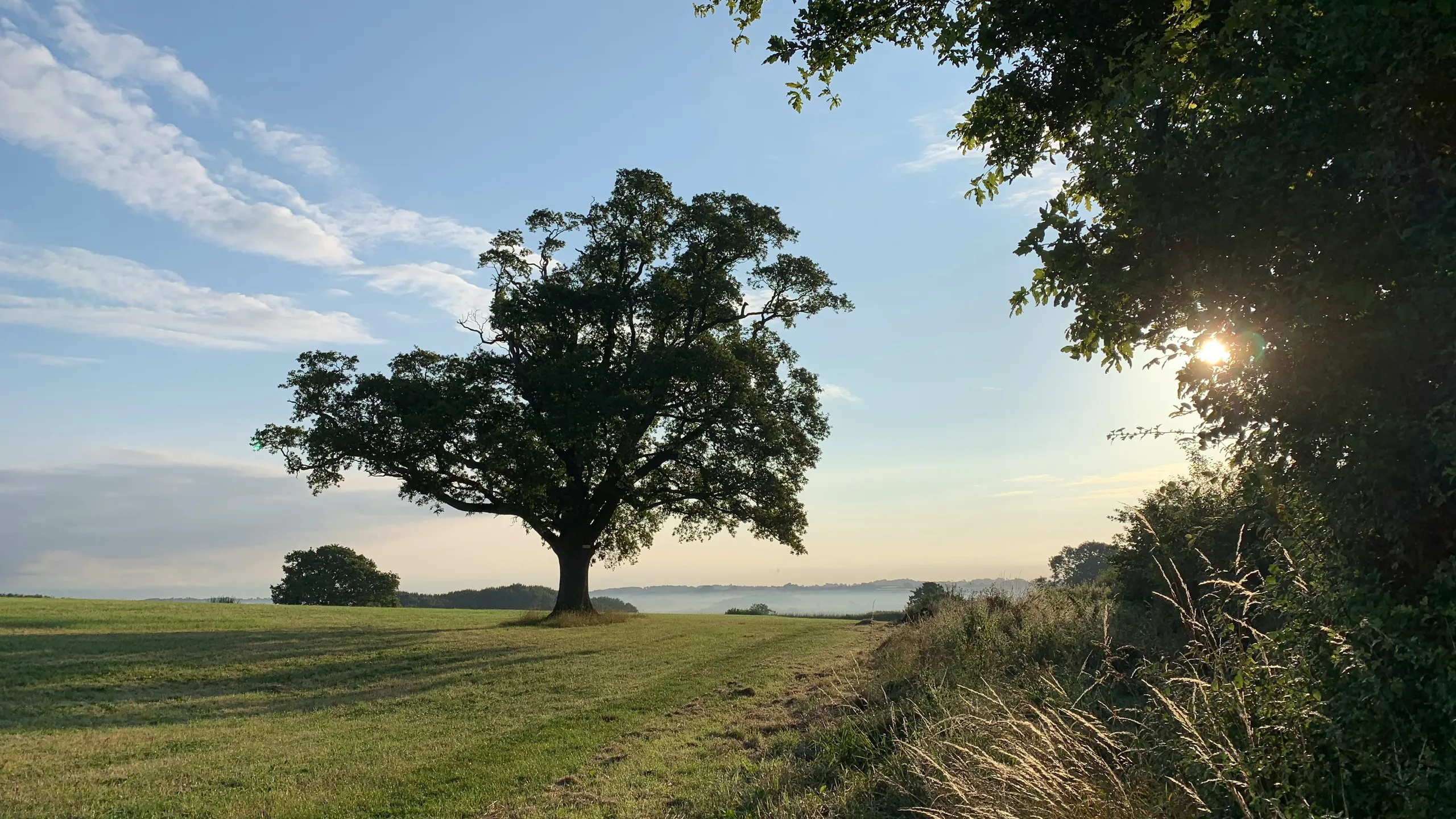 Tibberton Trot 10K