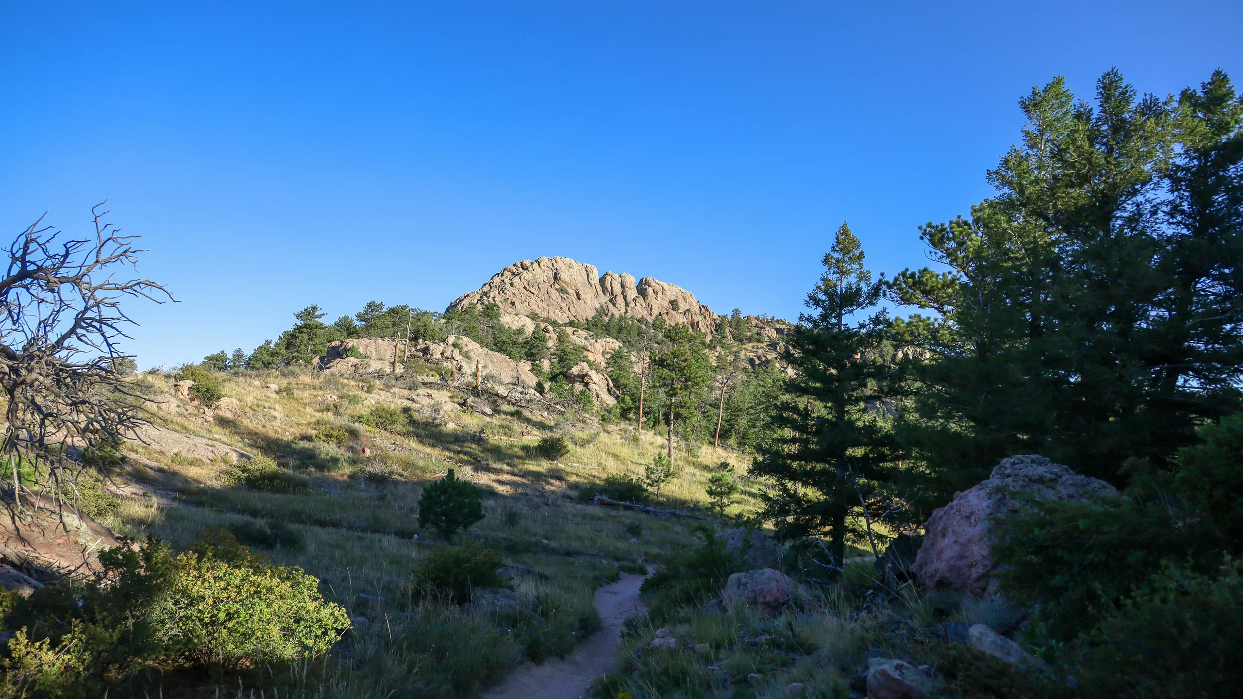 Blue Sky Trail Marathon & Half