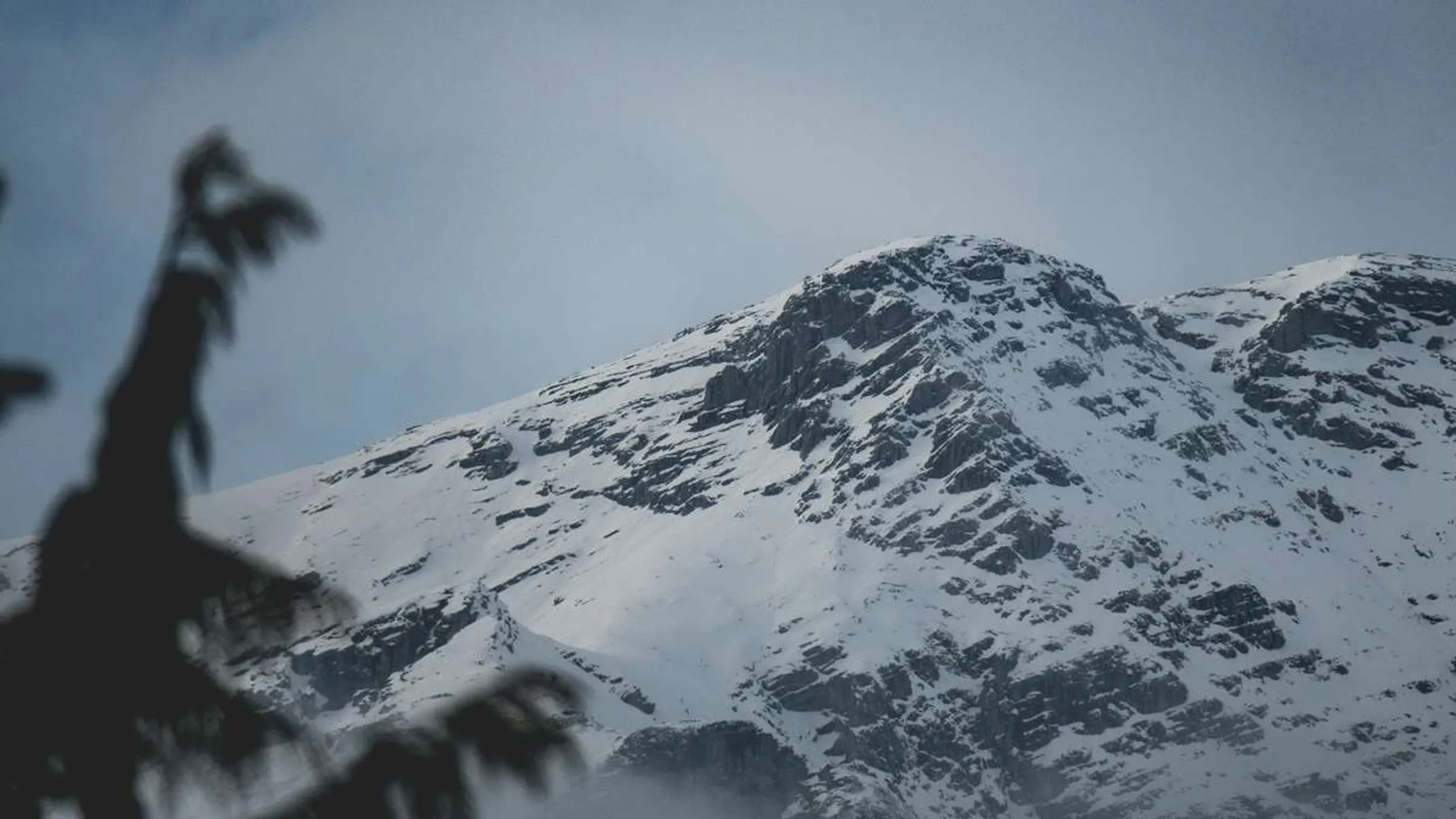 Terrex Innsbruck Alpine Trailrun Festival
