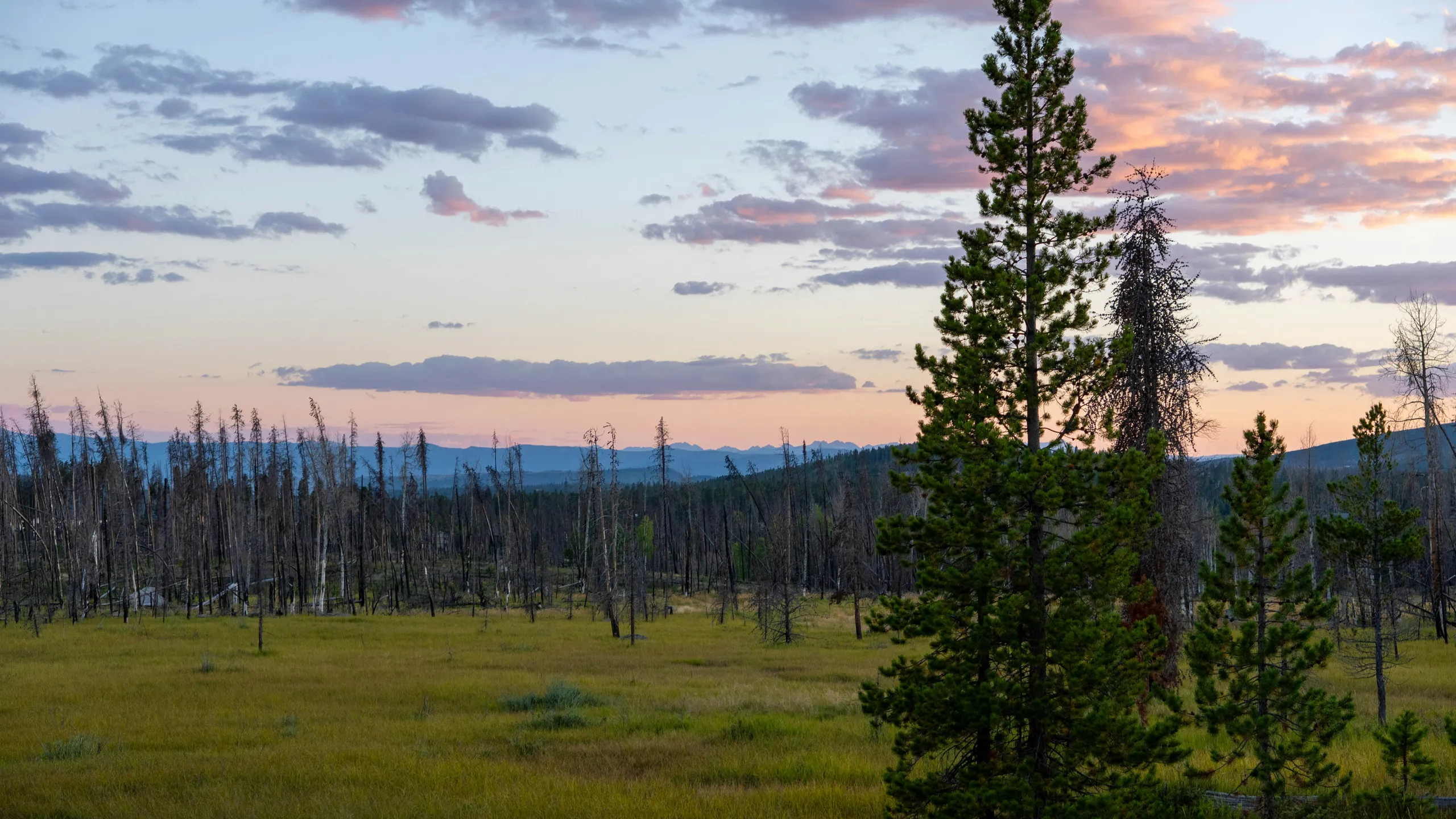 Snow Mountain Ranch Trail Running Festival 2025