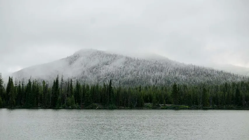 Savannah River Marathon