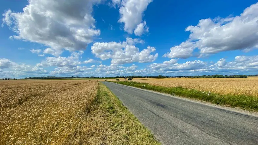 Haughley Festival of Running