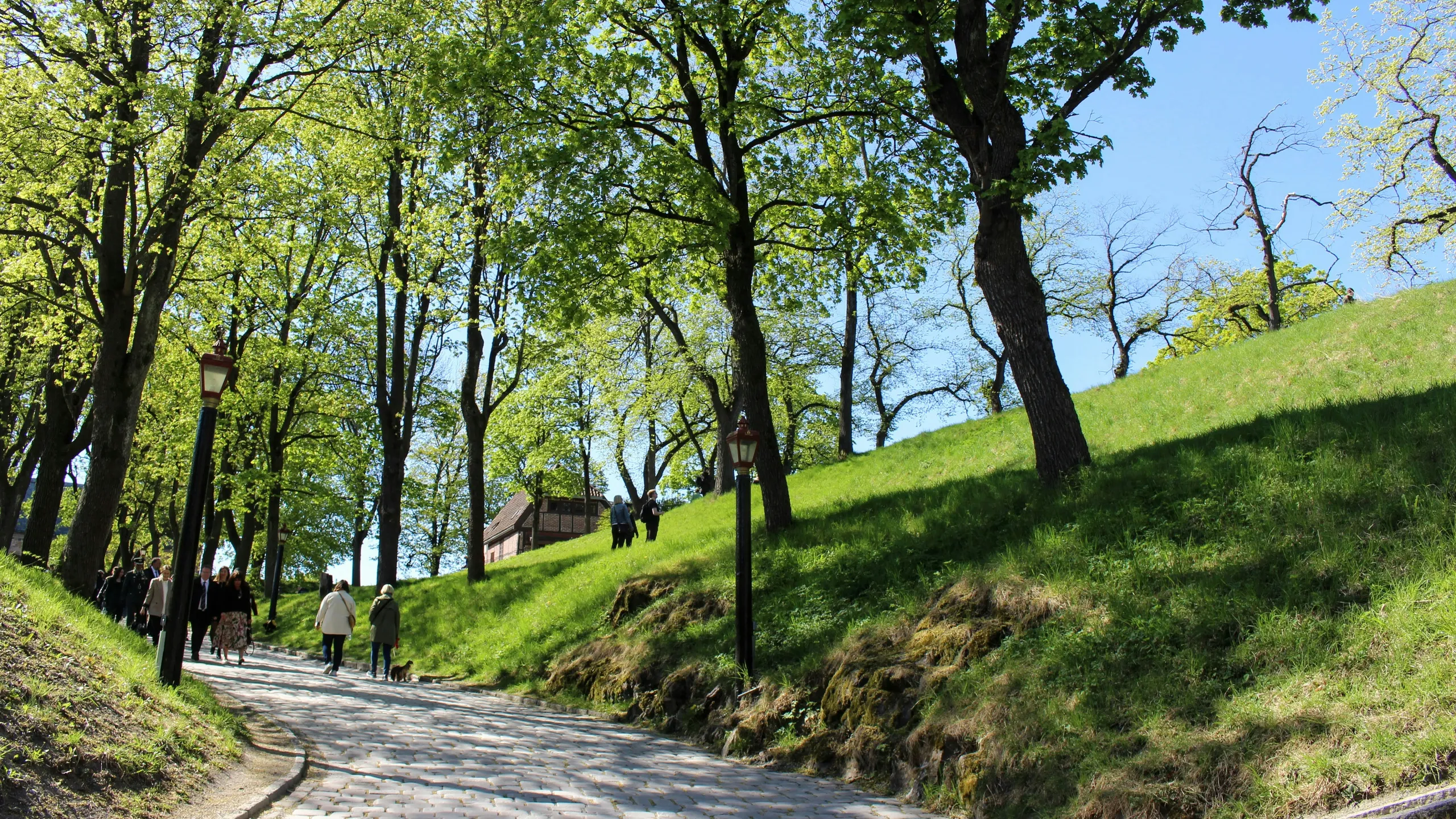 Backyard Ås 2025