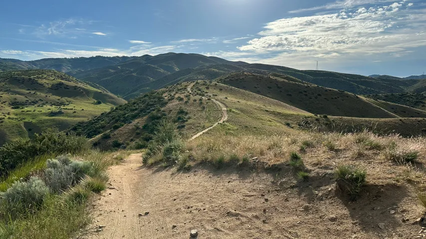 YMCA Famous Idaho Potato Marathon & Fun Runs