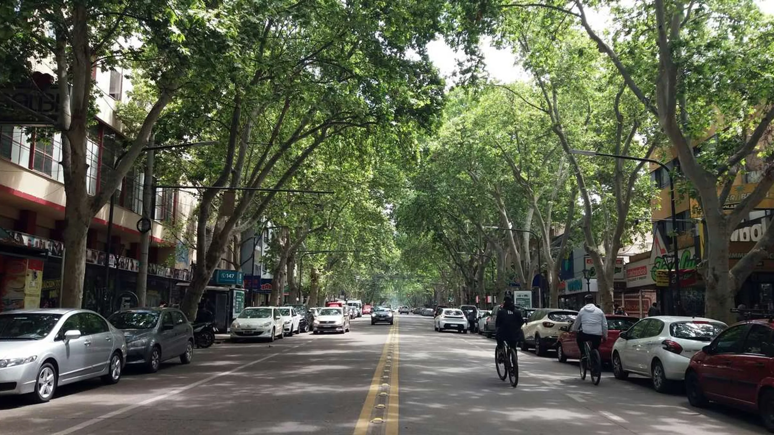Maratón Internacional de Mendoza