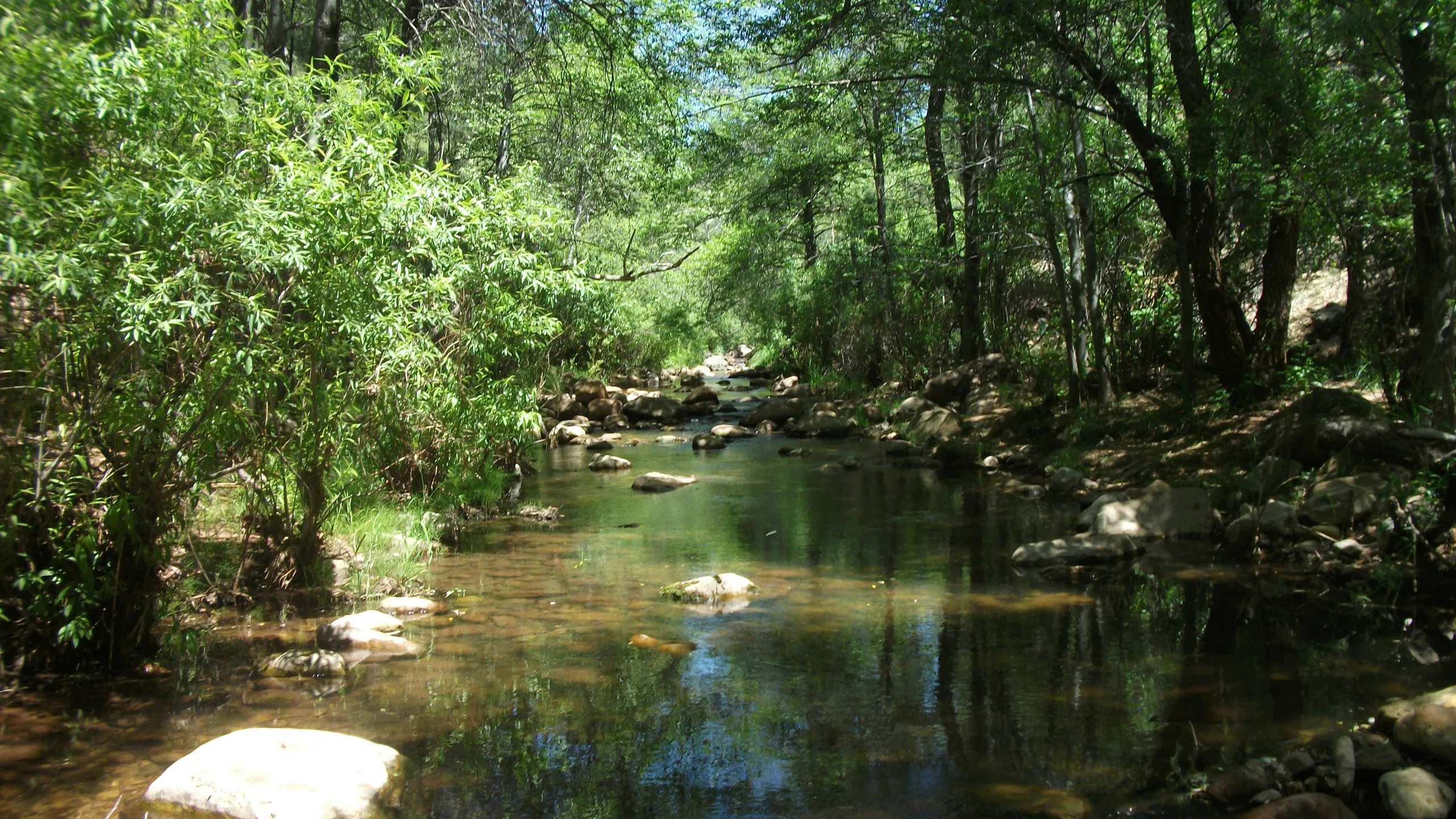 Austin Spartan Event Weekend