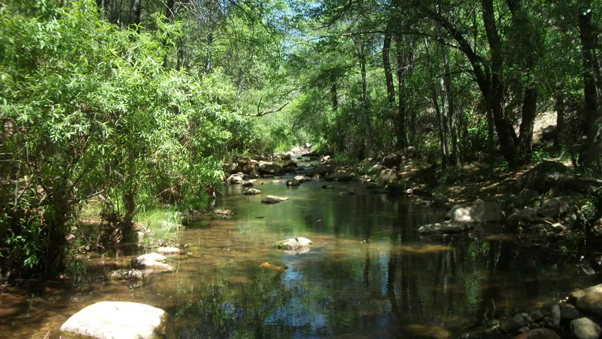 Austin Spartan Event Weekend