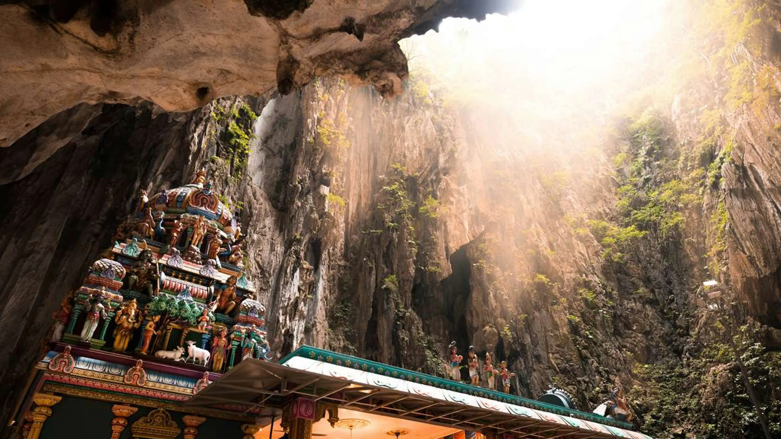 Ultron Wetlands Trail Run