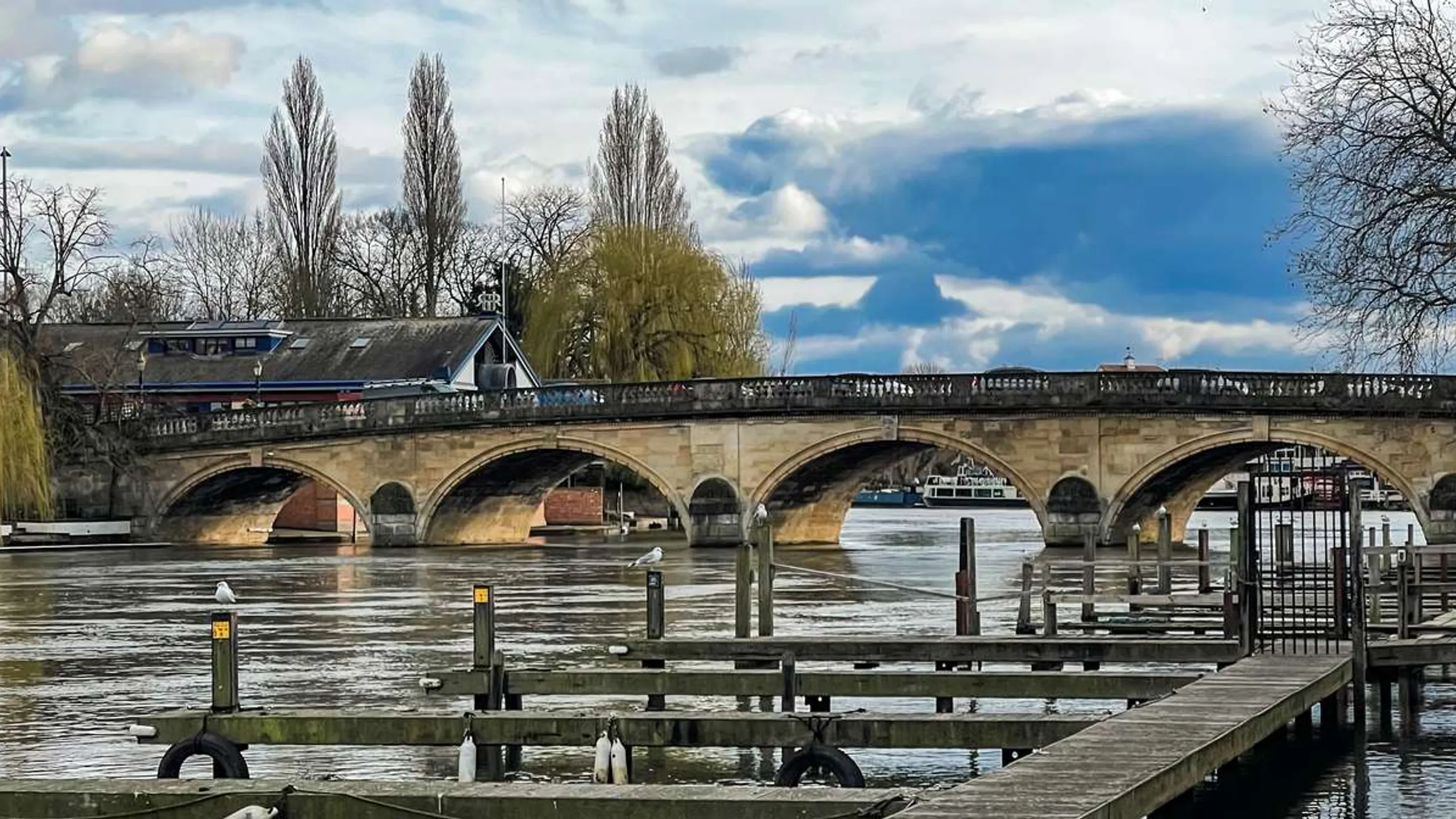 The MTC Windsor Ultra