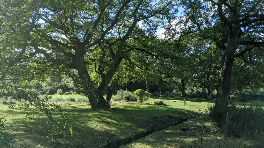 Run London Epping Forest Trail 10k