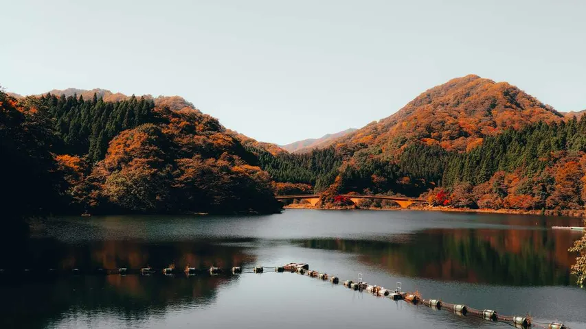Hiei Mountain International Trail Run