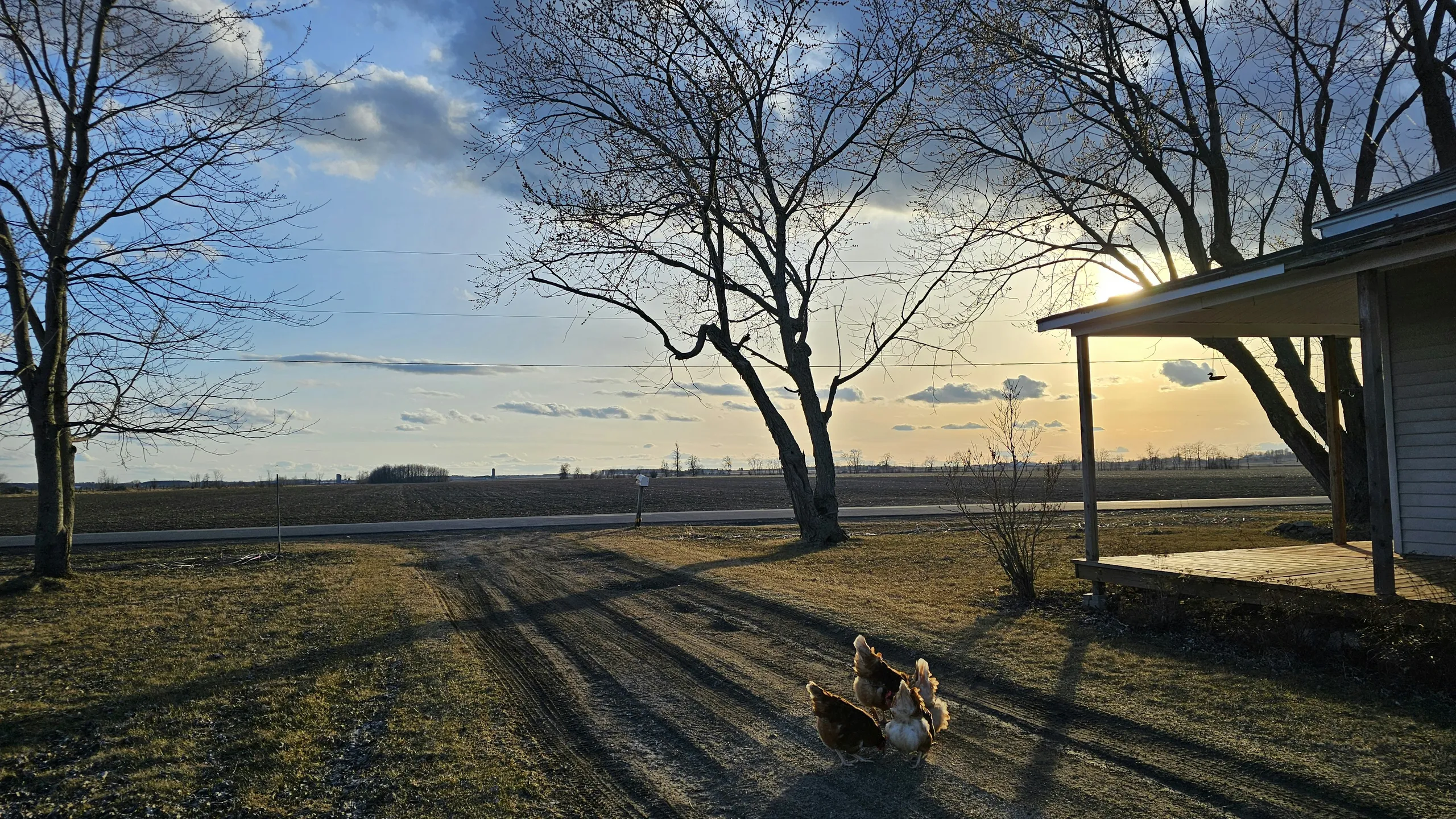 Le Trail du Mont Rigaud