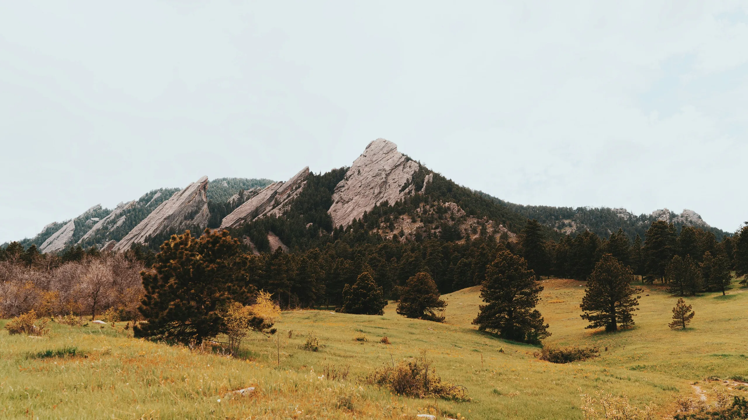 BOLDERBoulder by Runners Roost