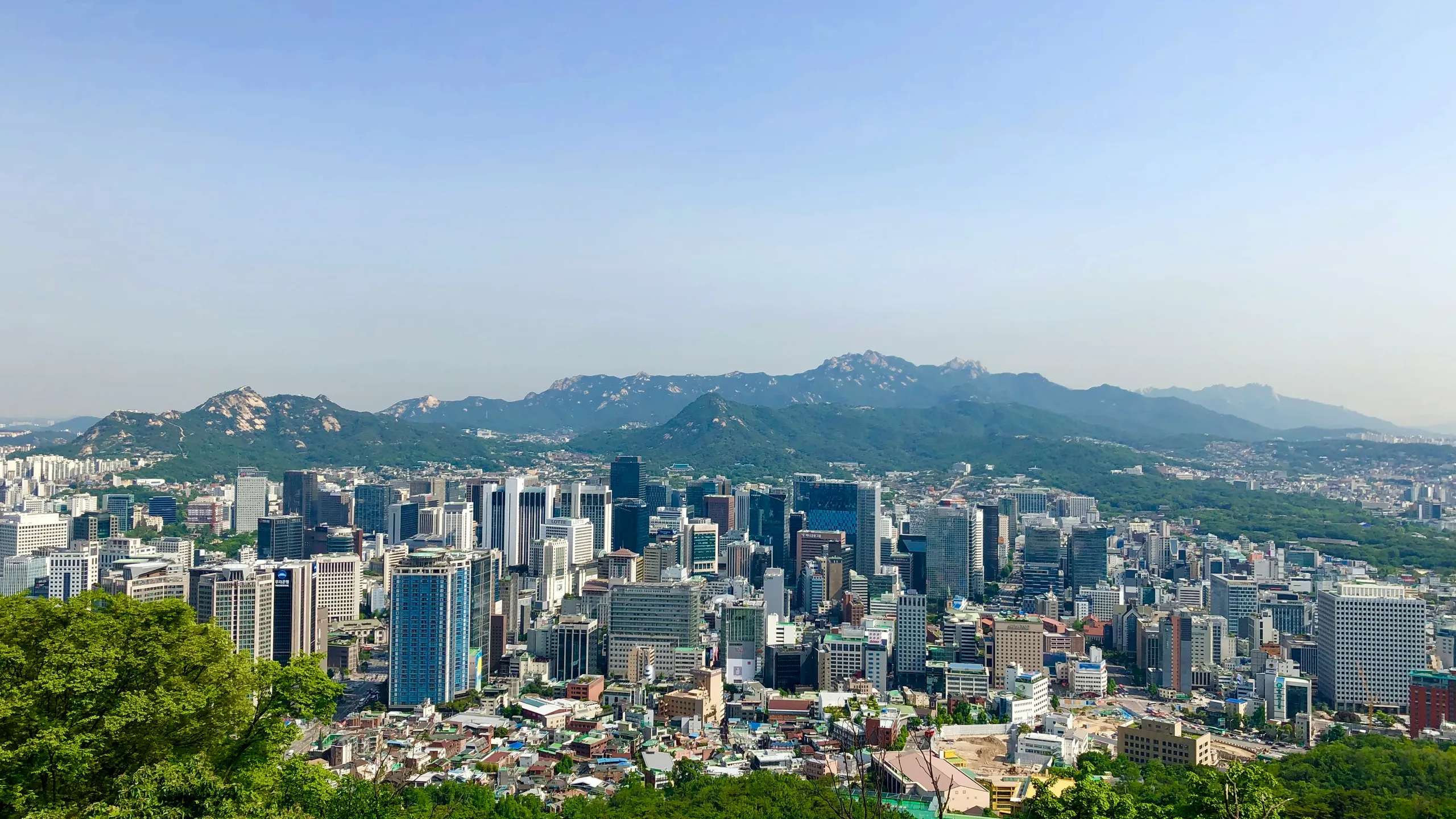 Garmin Run Korea 2025