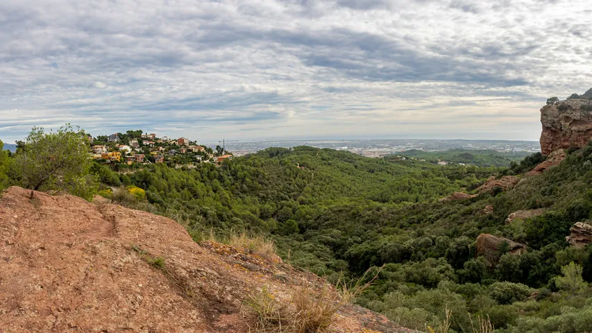 David Lloyd Mitja Marató de Gavà
