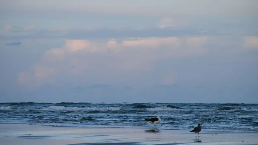 Run Sunset Beach