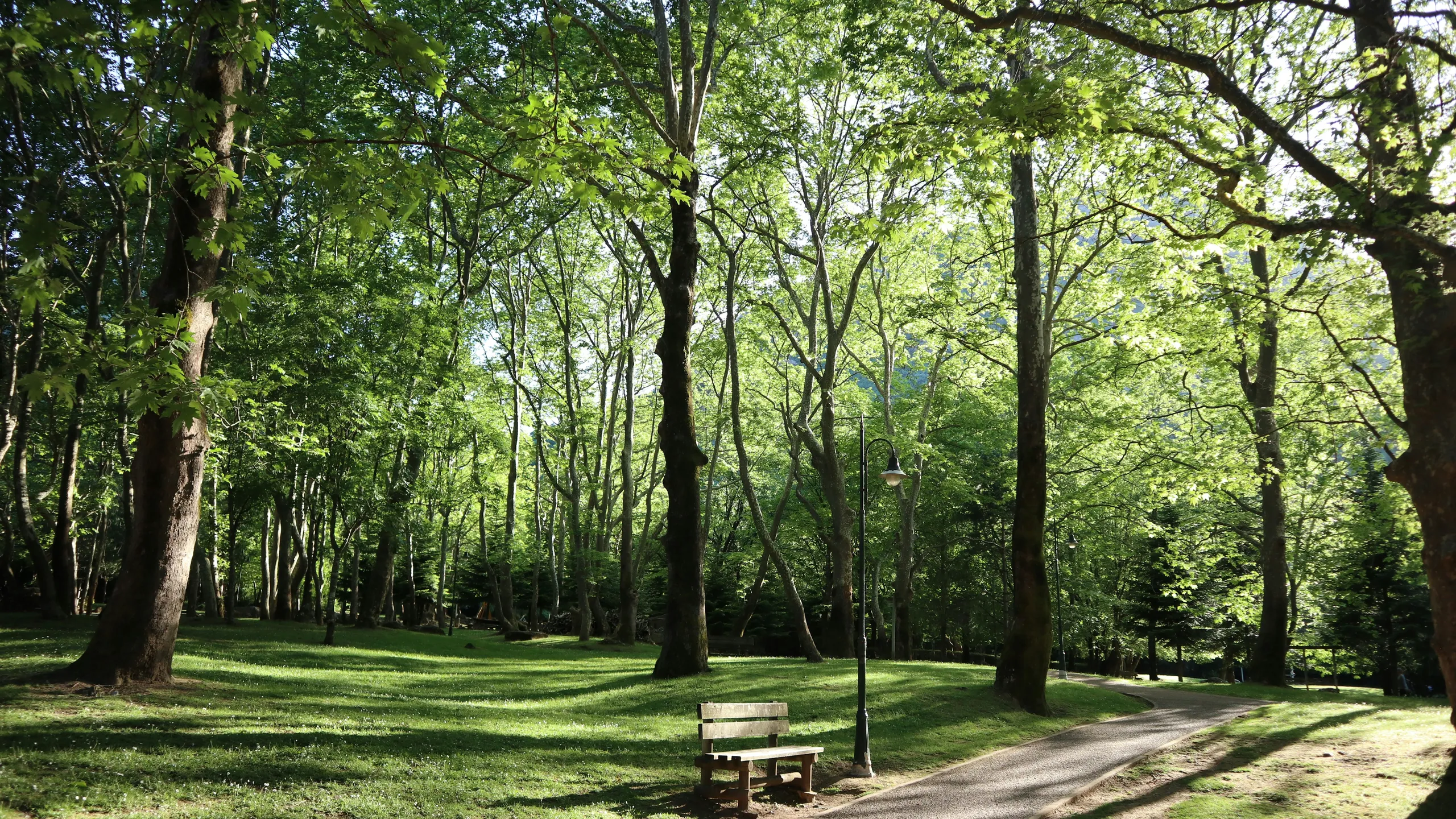 The Holiday Showdown (Tyler, TX)