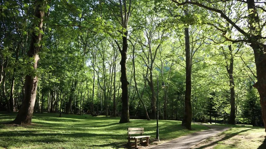 The Holiday Showdown (Tyler, TX)