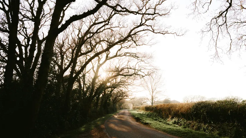 Acti-Snack Run Forest Run Loughgall