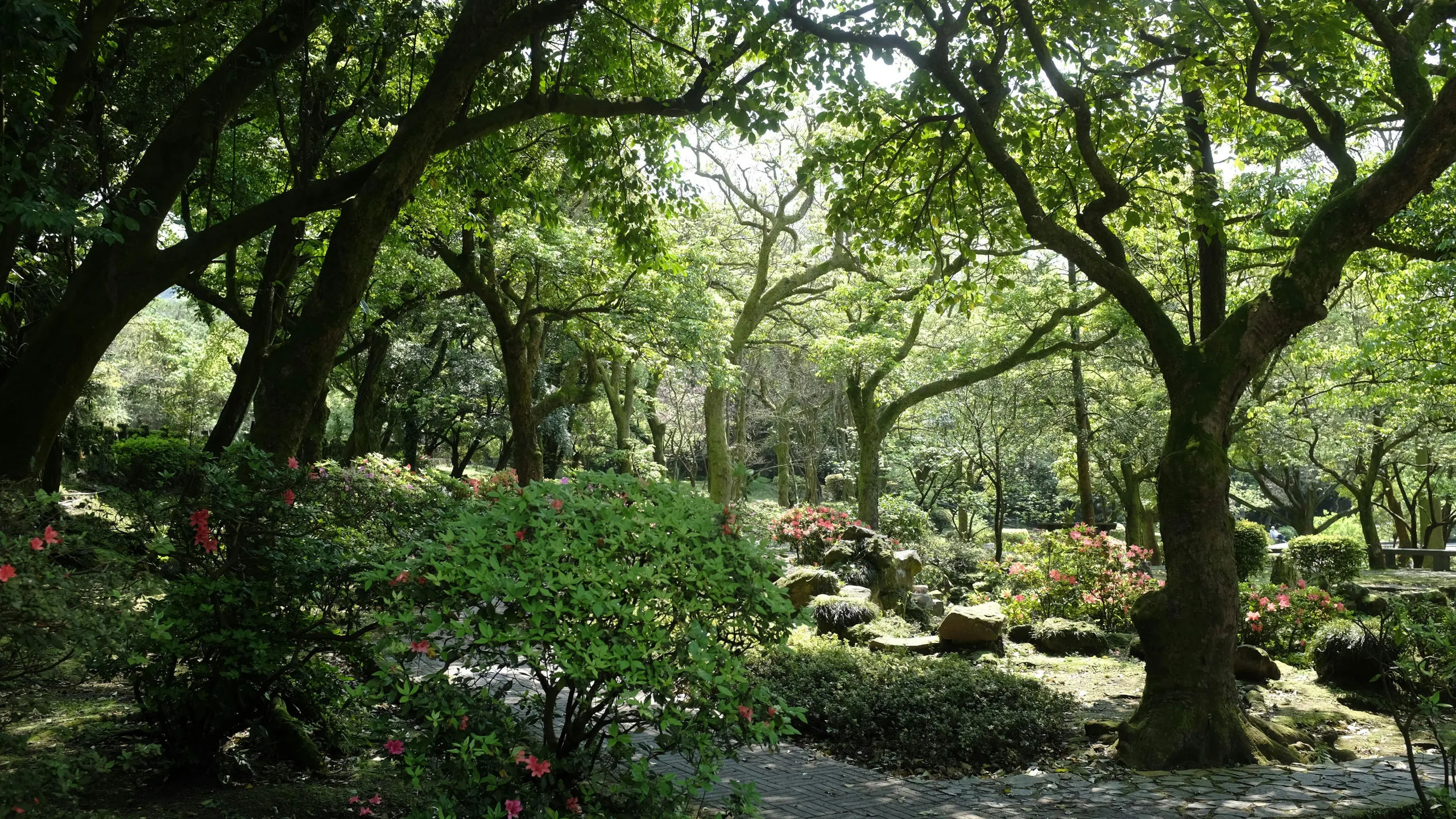 Freight Train Ultra Marathon