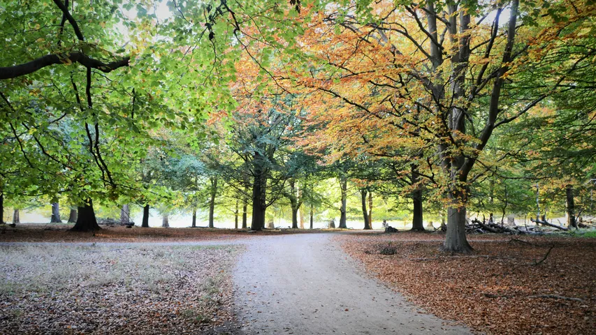 Eventyrsport Gribskov Trail