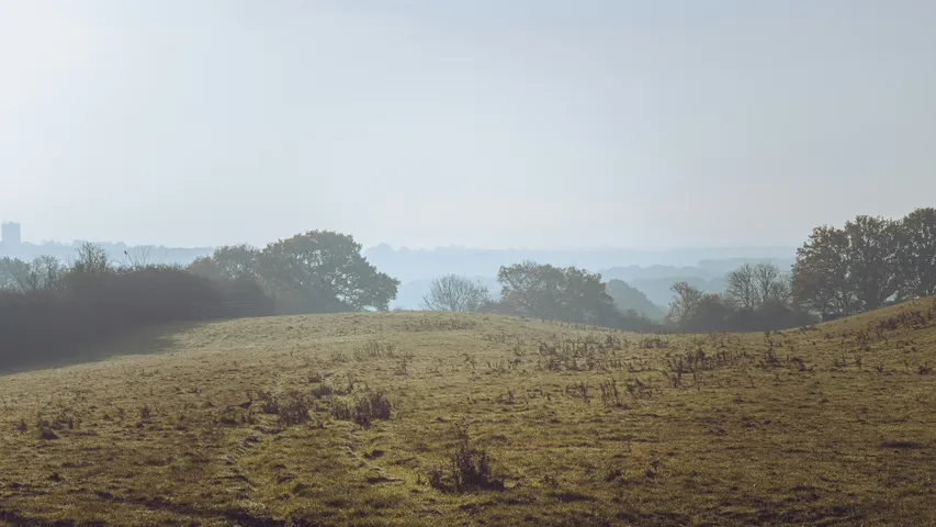 Great Bentley Half Marathon