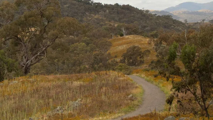 Ramsay Health Care Triathlon Pink