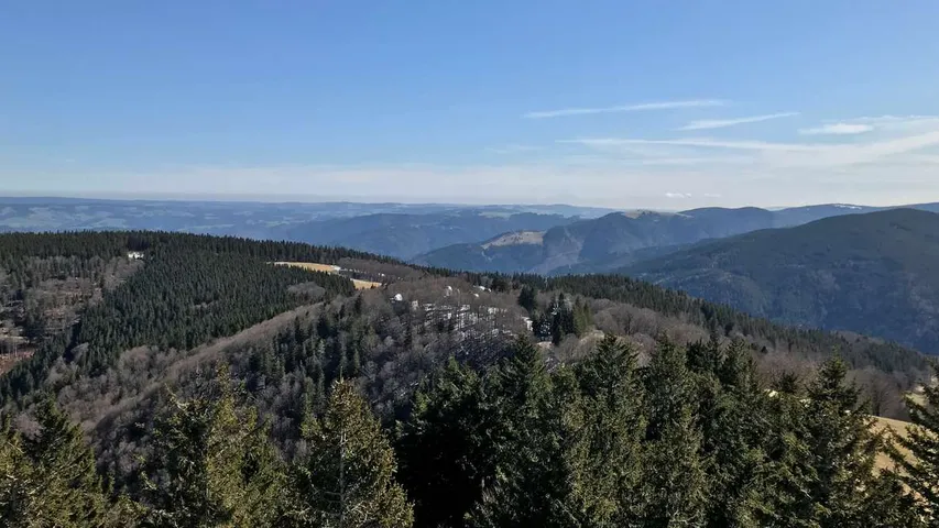 Mein Freiburg Marathon