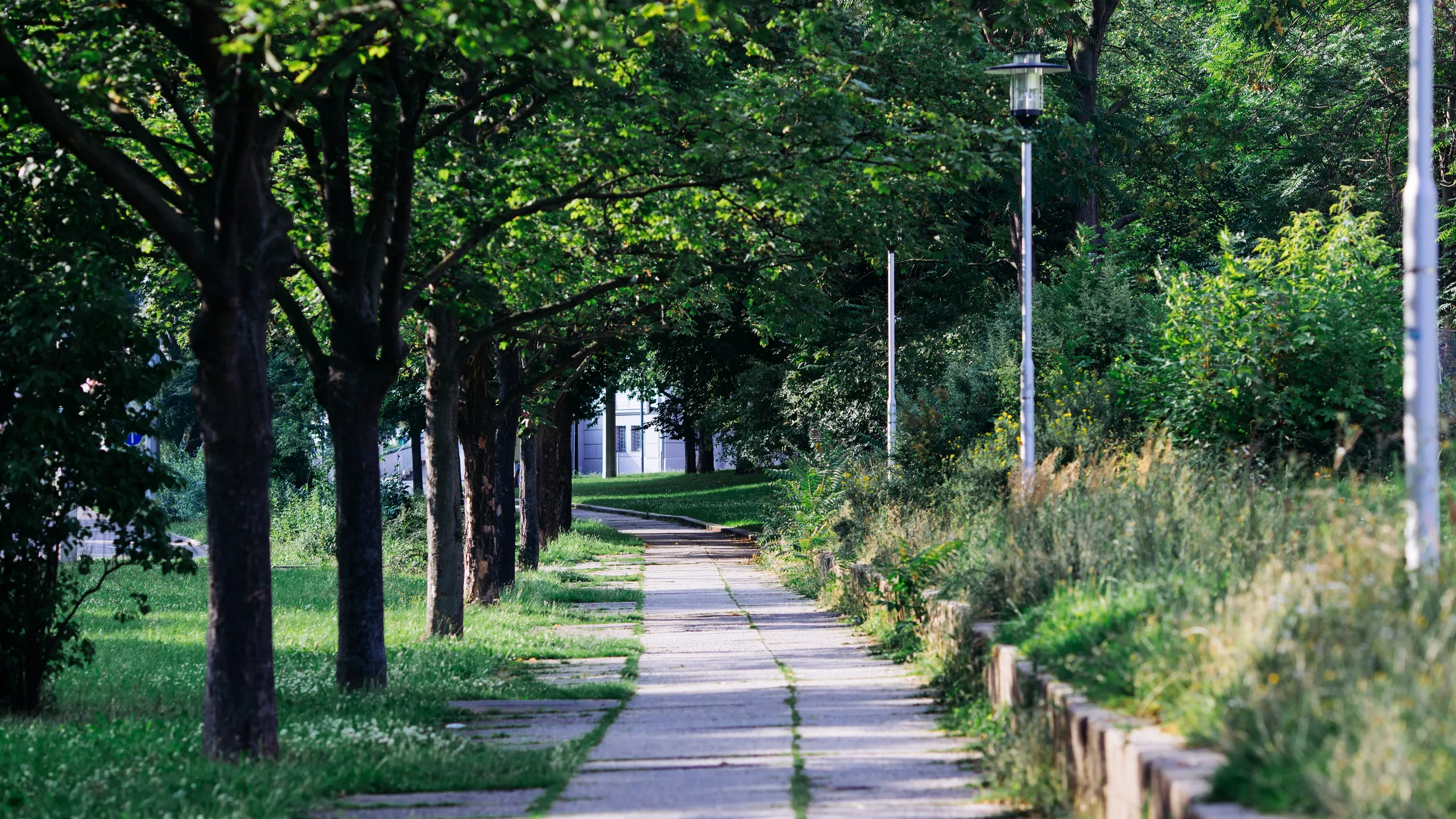 Geraer Silvesterlauf
