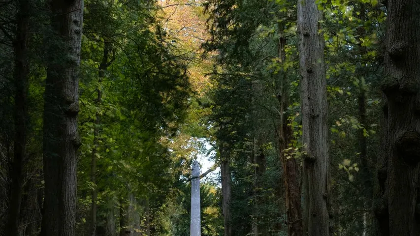 Run the Wild Half Marathon