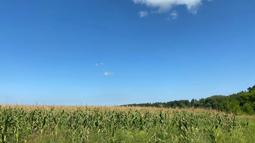 Market to Market Relay Iowa