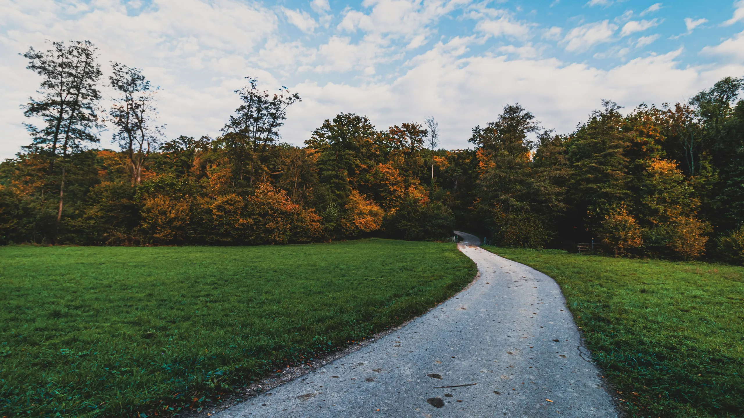 Allschwiler Klausenlauf