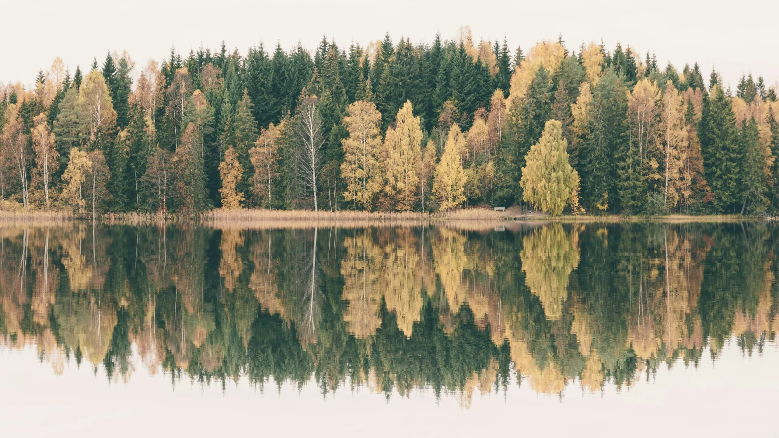 Norgestesten