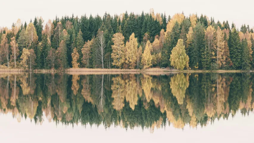 Norgestesten