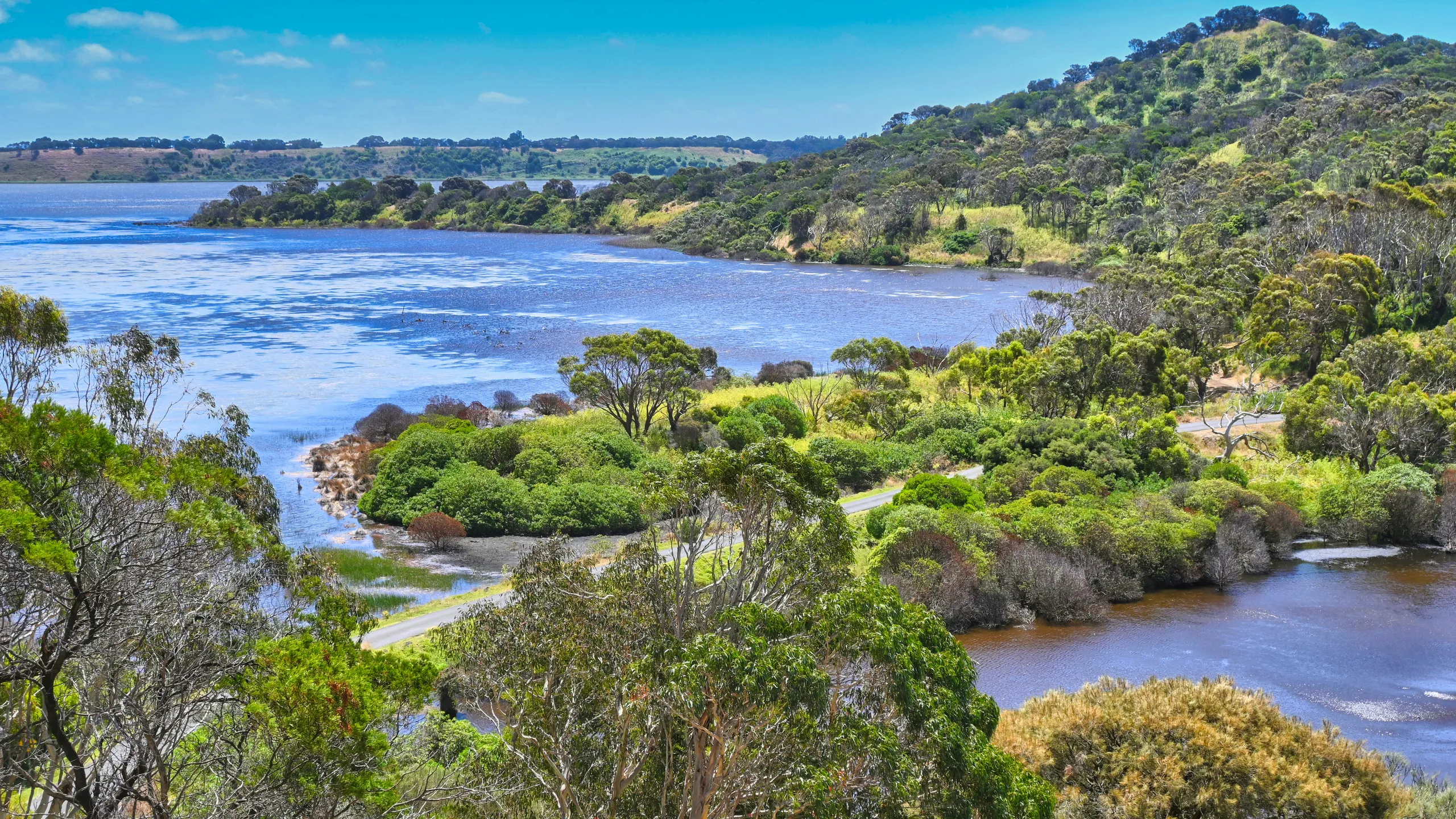 Shepparton Running Festival