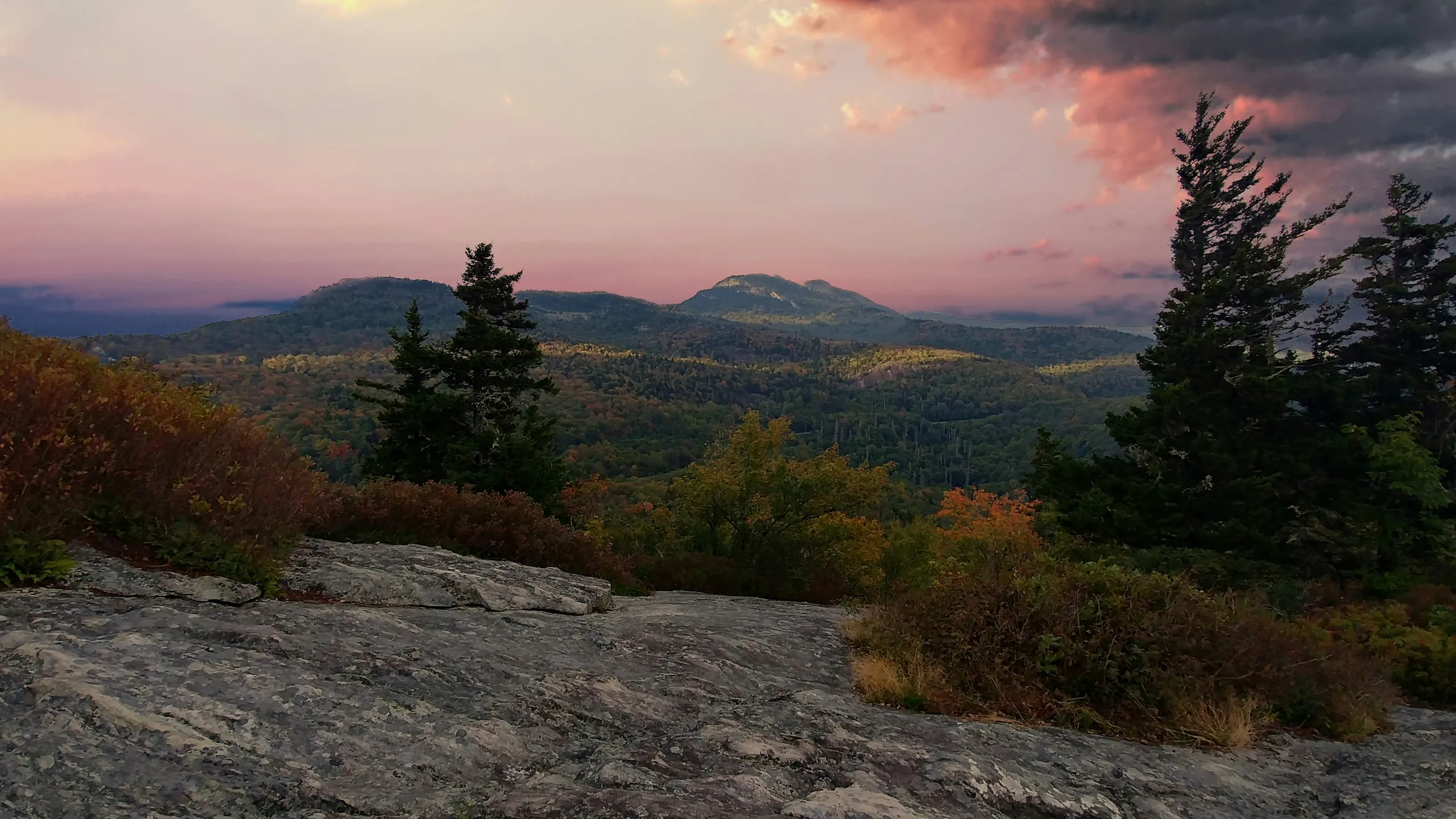 Ellerbe Marathon and Half Marathon