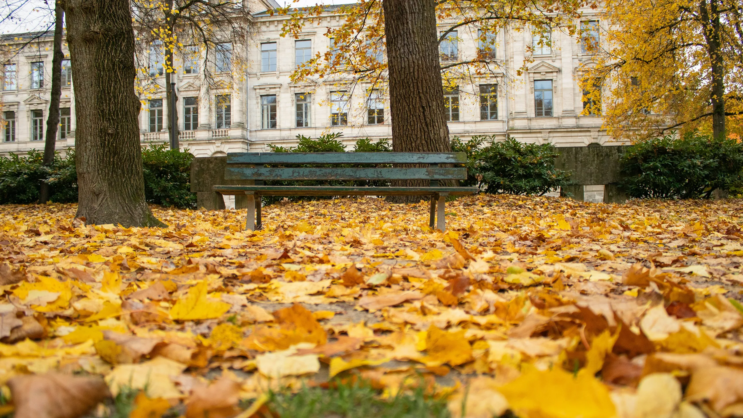 Erlangen Arcaden-Lauf in die Mönau