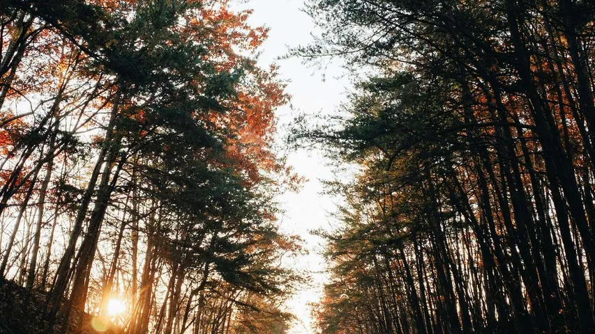 Oak Barrel Half Marathon