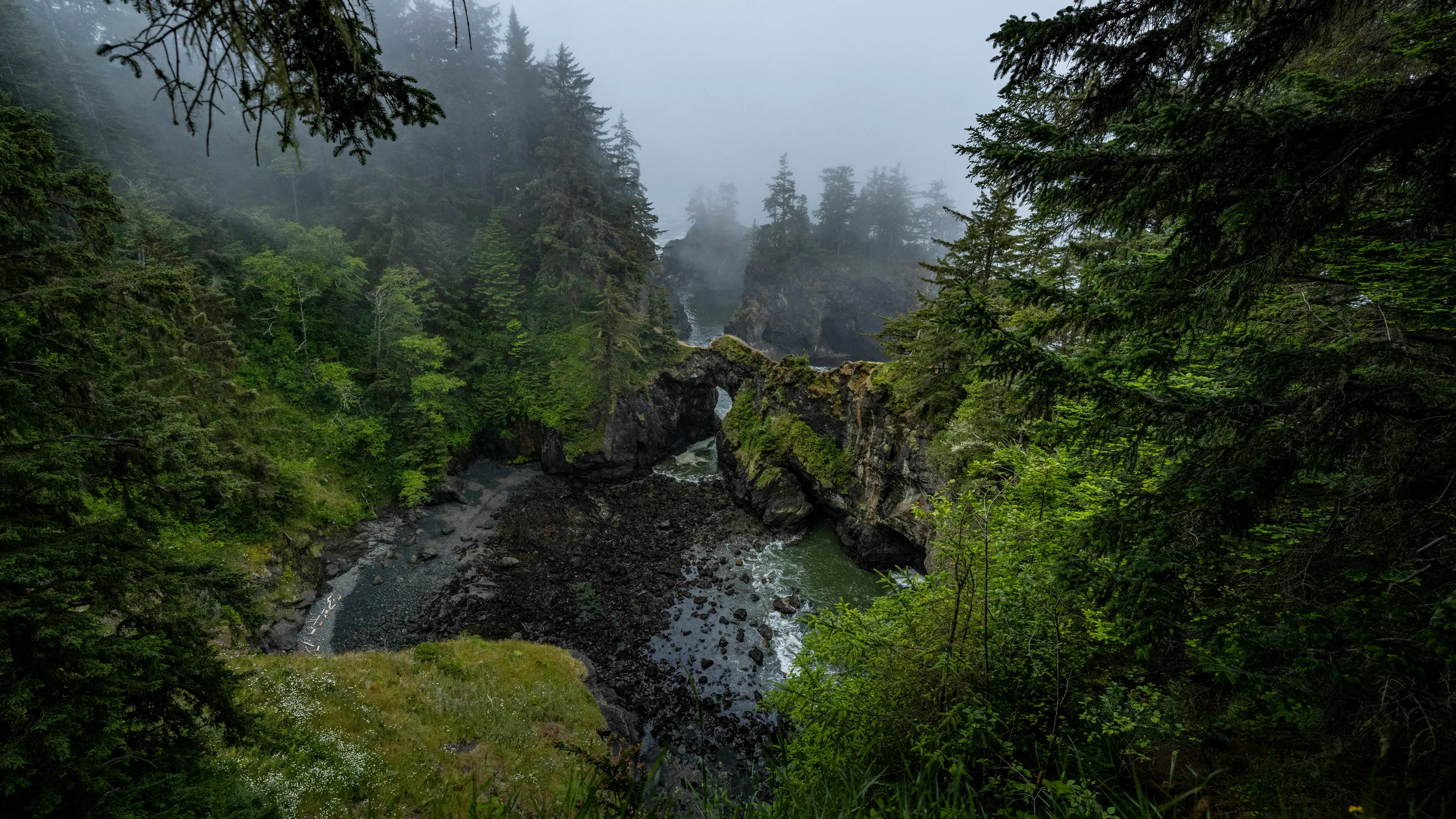 Cascade Half Marathon & 10K